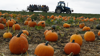 The Pumpkin Spice Onslaught Begins Now, Gird Your Loins